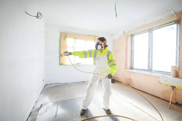  Brookings, SD Mold Removal Pros