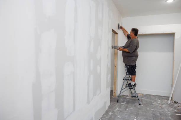 Professional Mold Removal in Brookings, SD