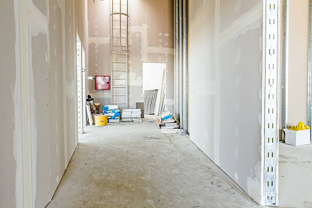 Environmental Consulting for Mold Prevention in Brookings, SD