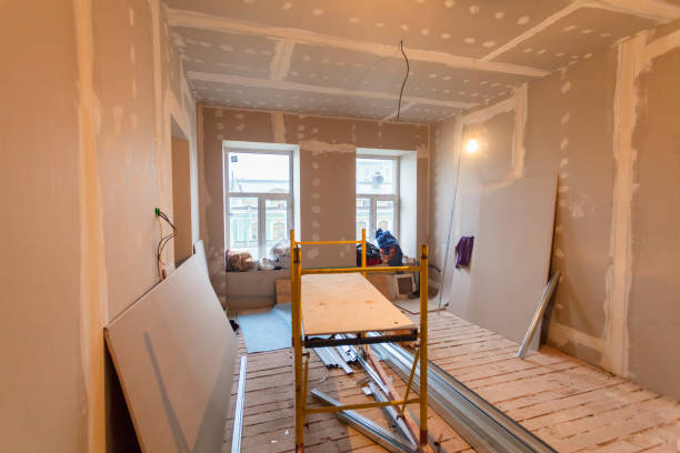 Mold Odor Removal Services in Brookings, SD