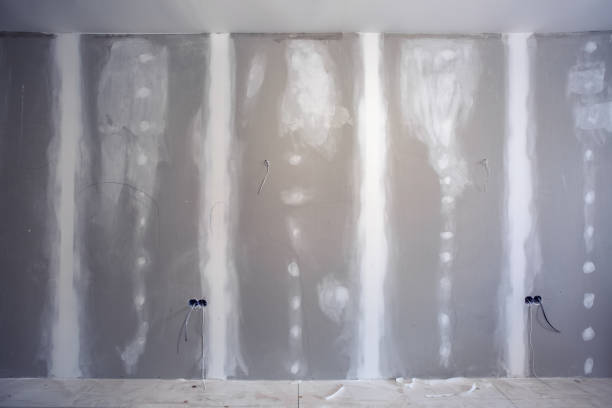 Best Dehumidification Services  in Brookings, SD